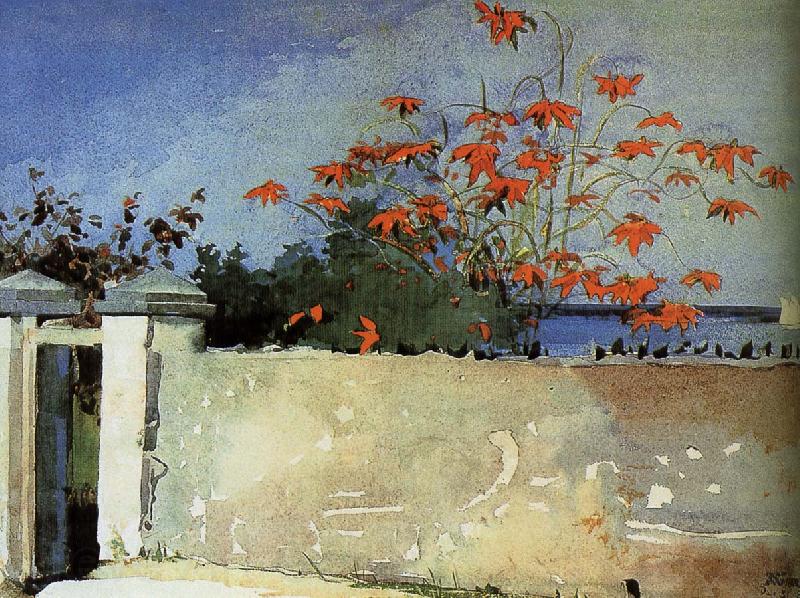 Winslow Homer Wall